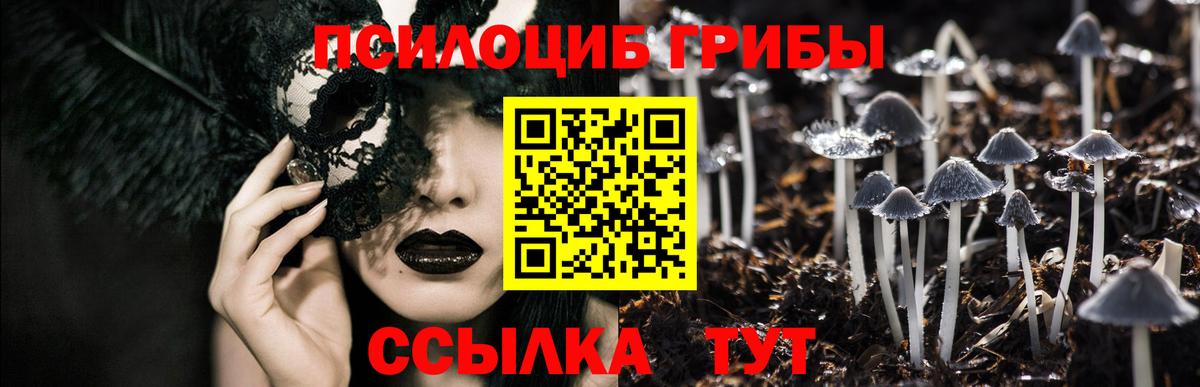 Борисоглебск  Галлюциногенные грибы Magic Shrooms  Галлюциногенные грибы Psilocybe  Вход с VPN 